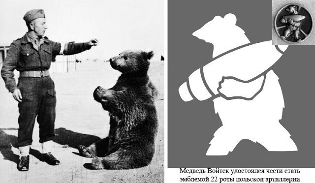 Боевой медведь. 322.jpeg Боевой медведь. 322.jpeg